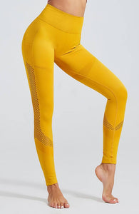 The Laser Seamless Legging - mayzia