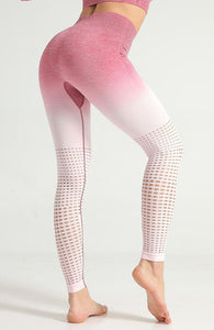 Ombre Hollow Legging - mayzia