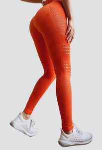 The Laser 2.0 Seamless Legging